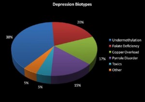 5 biotypes of depression william walsh physicians