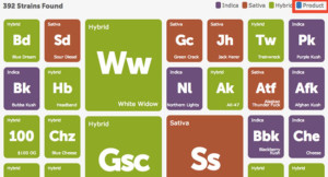 medical marijuana resources