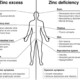 zinc deficiency symptoms copper overload symptoms