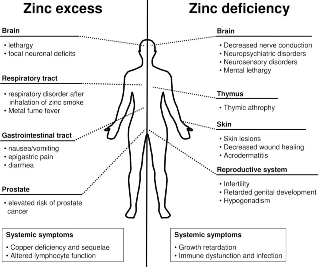zinc deficiency symptoms copper overload symptoms