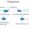 Methylation Status Lab Test