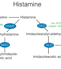 Methylation Status Lab Test chronic depression