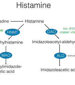 Methylation Status Lab Test