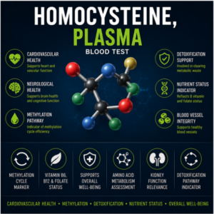 homocysteine methylation status b12 folate homocysteine cardiovascular