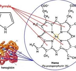 pyrrole testing