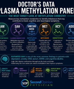 plasma methylation panel doctors data methionine same SAM:SAH walsh protocol
