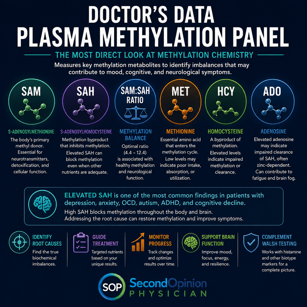 plasma methylation panel doctors data methionine same SAM:SAH walsh protocol