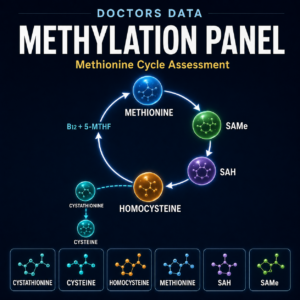 Doctor’s Data Methylation Test | Plasma SAM, SAH & Homocysteine Panel