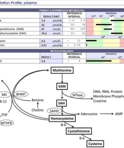 methylation and depression