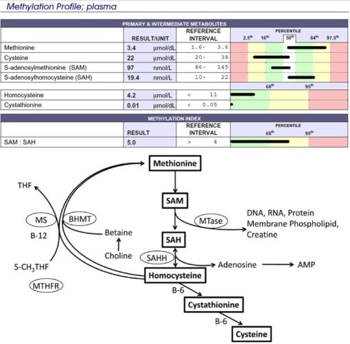 methylation and depression