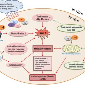 copper and autism; copper overload; zinc deficiency