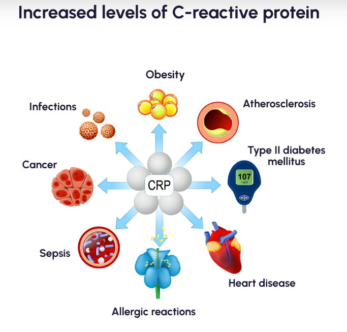 HS-CRP (C-Reactive Protein)