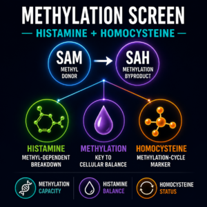 whole blood histamine methylation blood test homocysteine