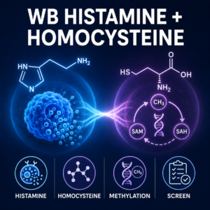 Whole blood histamine and homocysteine methylation blood test for Walsh undermethylation assessment