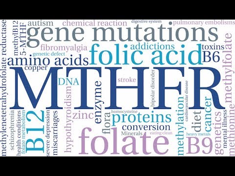 mthfr methylation depression