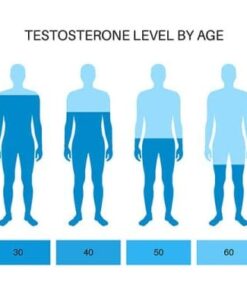 Testosterone, Free/Tot Equilib