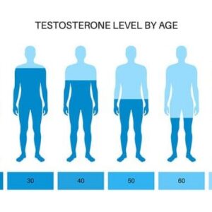 Testosterone, Free/Tot Equilib