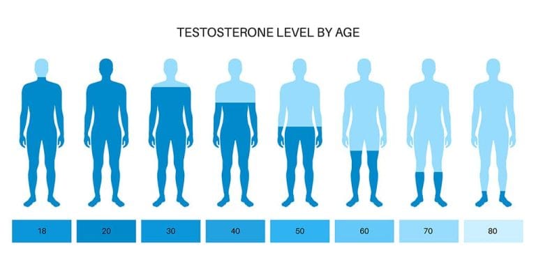 Testosterone, Free/Tot Equilib