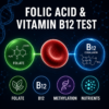 Vitamin B12 and folate blood test for methylation, MTHFR, homocysteine, macrocytosis and undermethylation