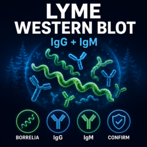 Lyme disease Western blot confirmation test for Borrelia burgdorferi IgG and IgM antibodies