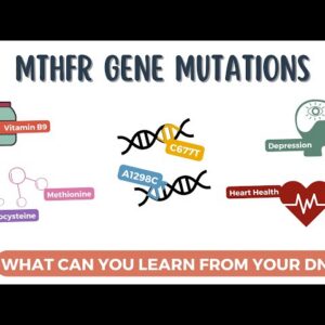 MTHFR (Methylenetetrahydrofolate Reductase) plus C677T and A1298C