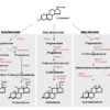 cholesterol derived hormones