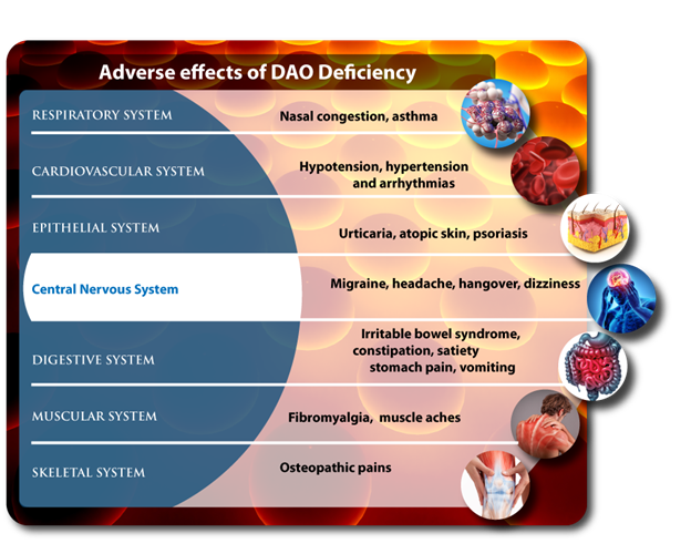 improve dao diamine oxidase to manage high histamine