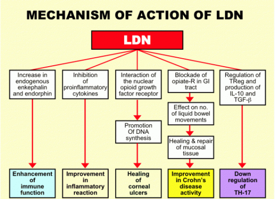 treat high histamine with low dose naltrexone