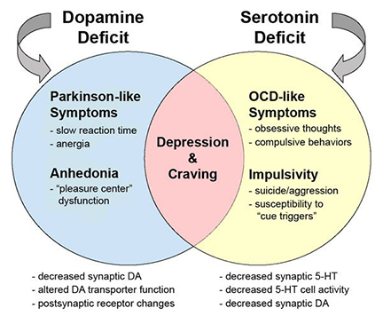 symptoms of low serotonin and dopamine due to undermethylation