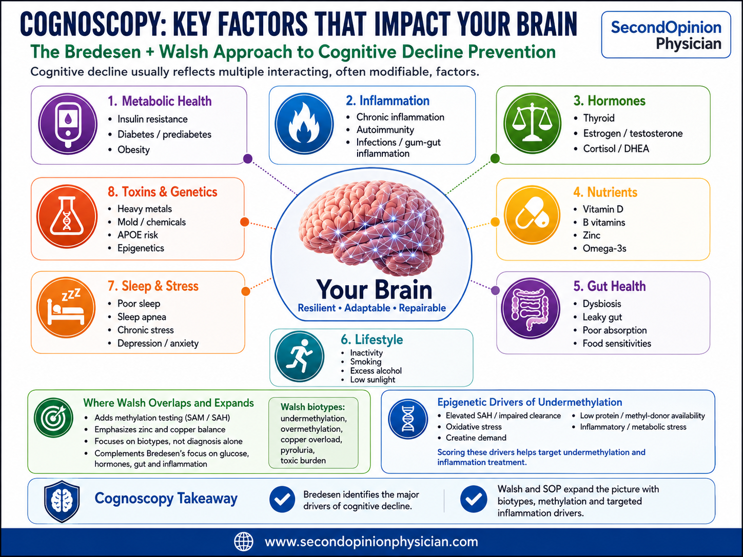 Bredesen Cognoscopy Test for Alzheimer's: Labs, Risk Factors