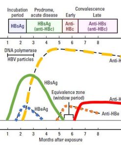 hepatitis panel labs