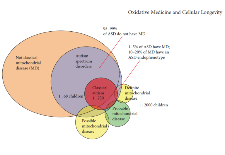 autism mitochondria glutathione