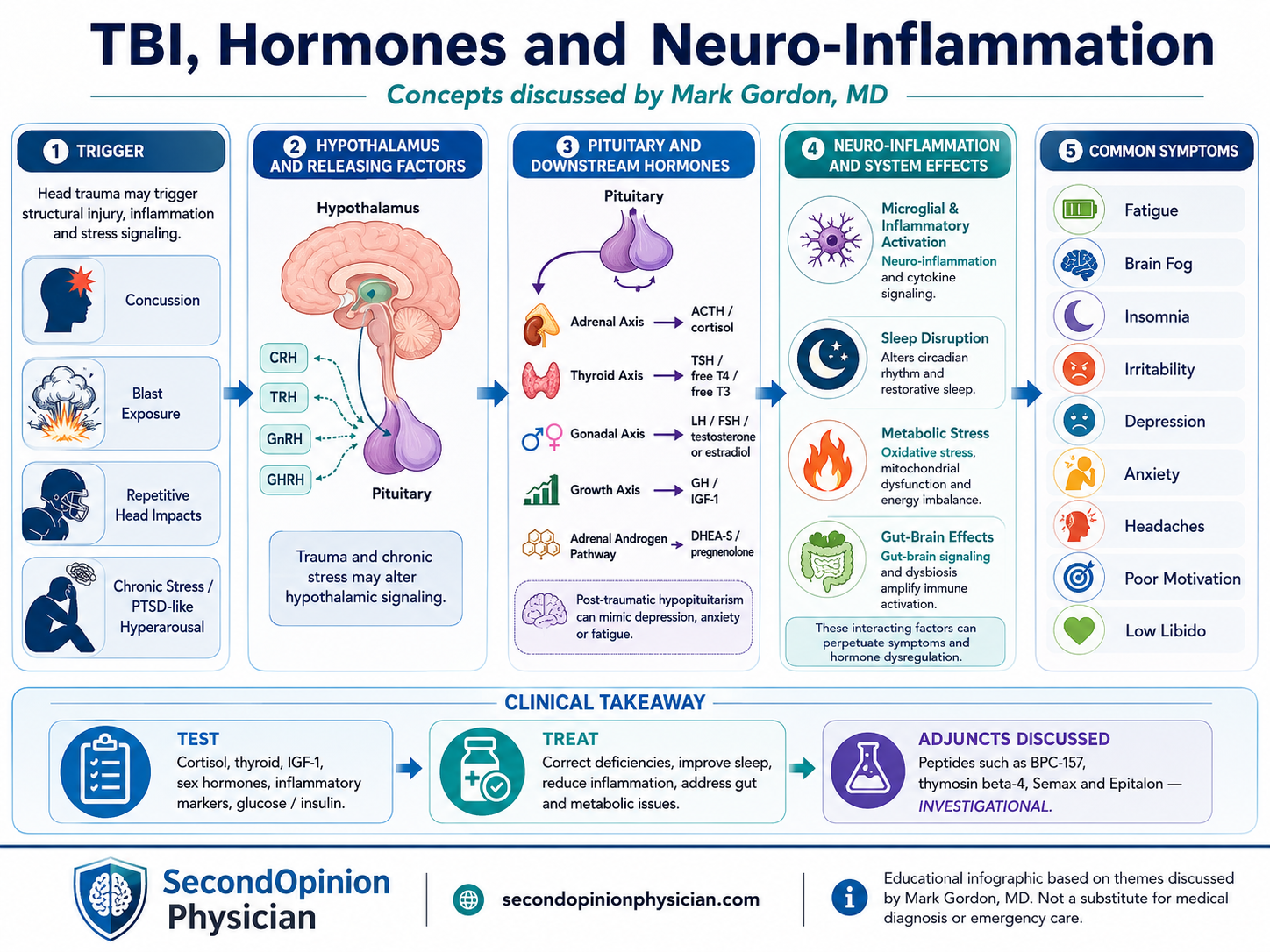 TBI hormones and neuro-inflammation infographic showing head trauma, hypothalamic and pituitary disruption, altered hormone signaling, inflammation, fatigue, insomnia, mood changes and poor focus.