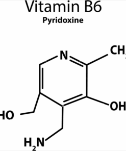 Vitamin B6 Pyridoxine, Plasma