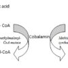 vitamin B12 deficiency