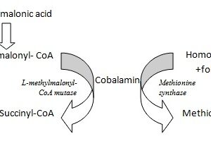 vitamin B12 deficiency