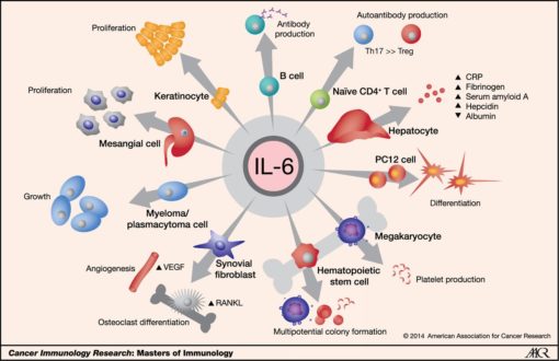 interleukin 6 test