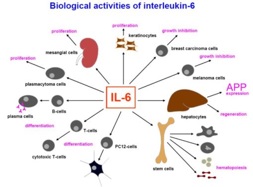 interleukin lab test