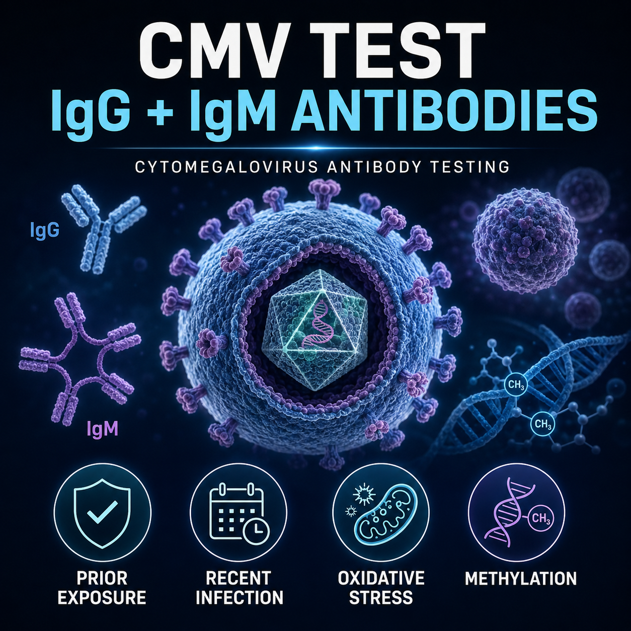 glutathione protocol chronic fatigue syndrome CMV Antibody Test Quantity:3 BOX GHK‐Cu directly bound and refine pores congestion