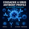 Coxsackie antibody blood test for IgG and IgM antibodies to Coxsackie A7, A9, A16 and A24