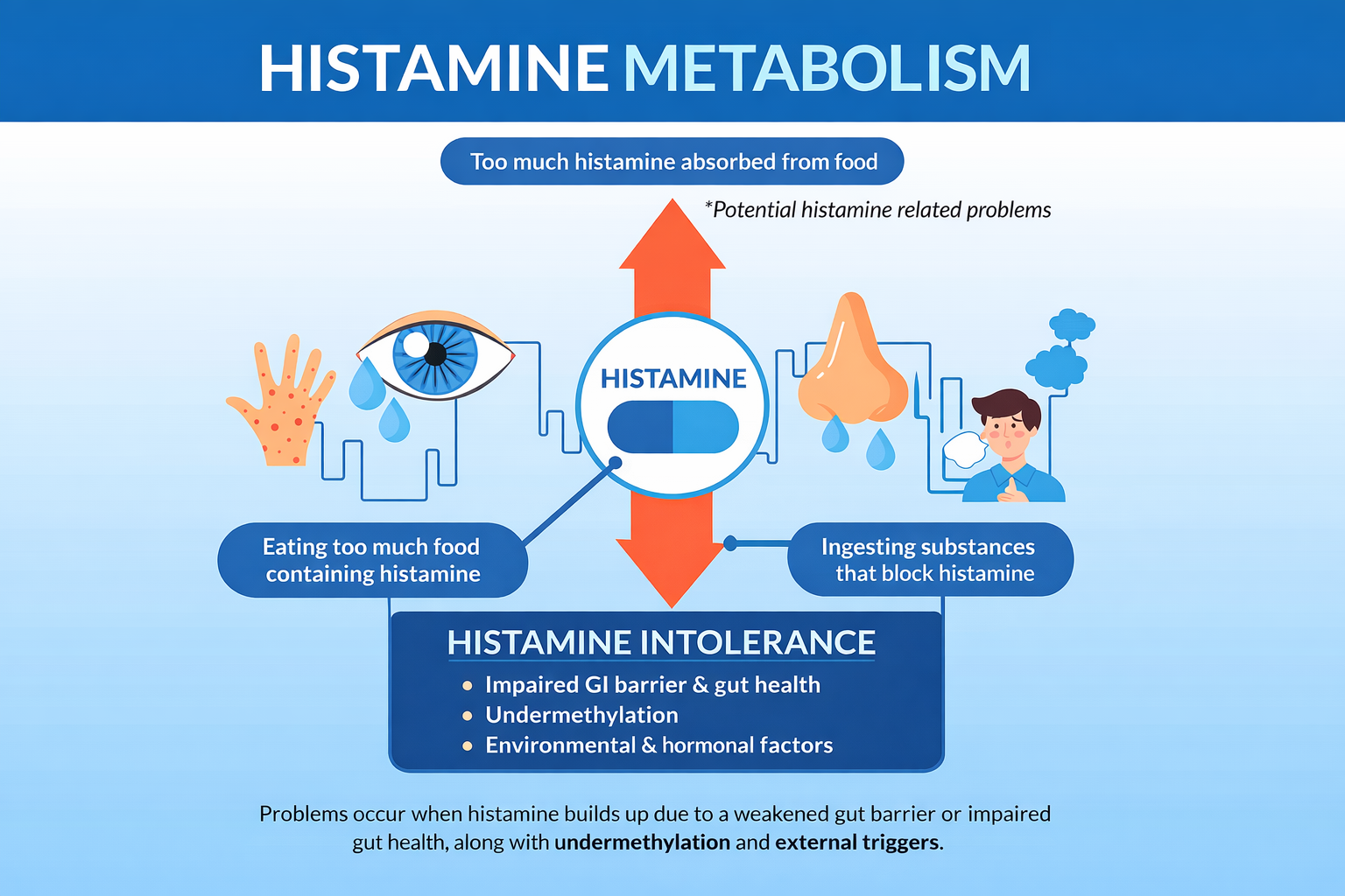 treat histamine intolerance undermethylation