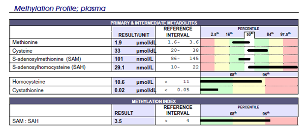 doctors data methylation report