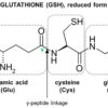 Glutathione Test