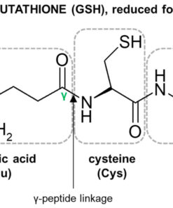 Glutathione Test