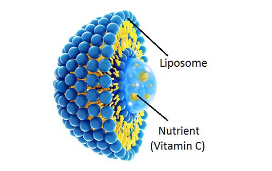 vitamin c therapy chronic virus hydrocortisone