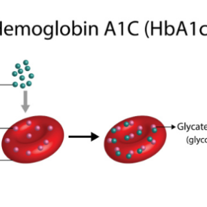 HbA1C - Glycated Hemoglobin