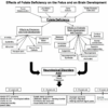 schizophrenia folate deficiency autism folate test
