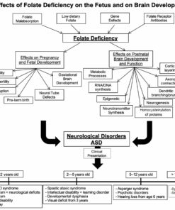 schizophrenia folate deficiency autism folate test