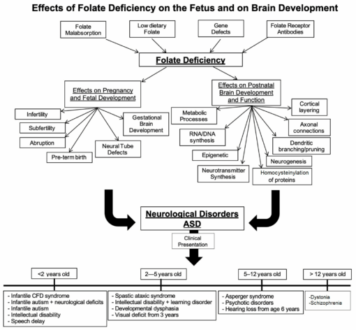 schizophrenia folate deficiency autism folate test