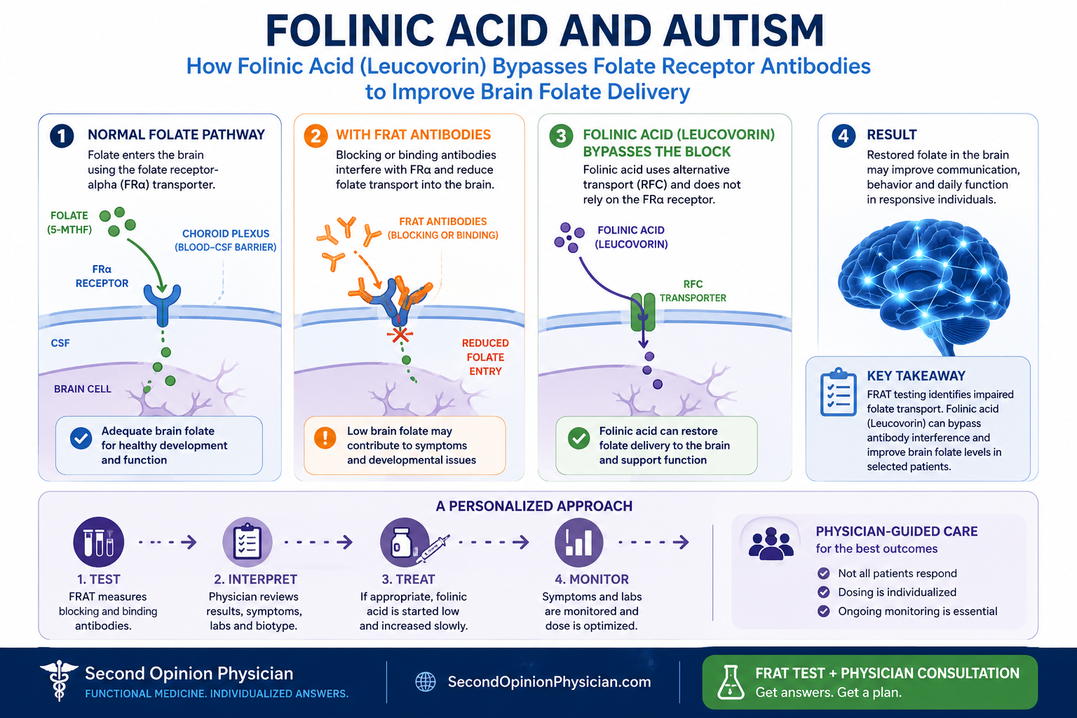 How folinic acid bypasses folate receptor antibodies to support folate transport into the brain in autism and cerebral folate deficiency